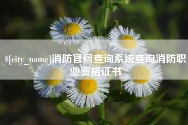 巴彦淖尔市消防官网查询系统查询消防职业资格证书