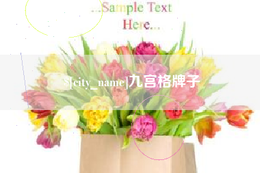 巴彦淖尔市九宫格牌子