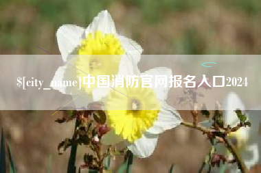 巴彦淖尔市中国消防官网报名入口2024