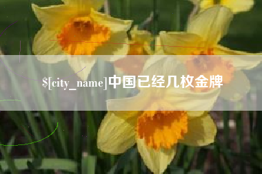 巴彦淖尔市中国已经几枚金牌