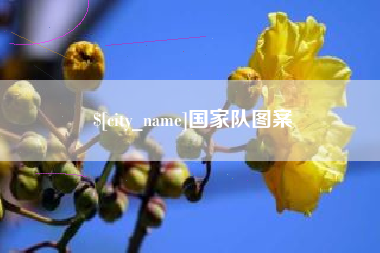 巴彦淖尔市国家队图案