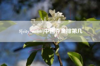 巴彦淖尔市中国夺金排第几