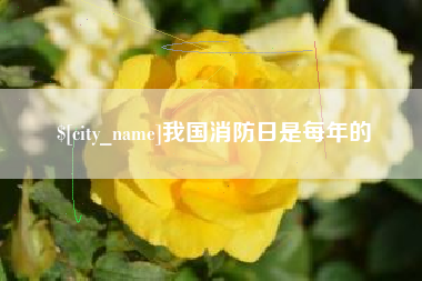 巴彦淖尔市我国消防日是每年的