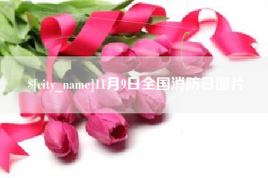 巴彦淖尔市11月9日全国消防日图片