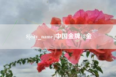 巴彦淖尔市中国金牌18金