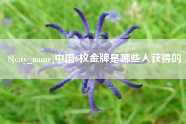 巴彦淖尔市中国6枚金牌是哪些人获得的