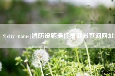 巴彦淖尔市消防设施操作员证书查询网址