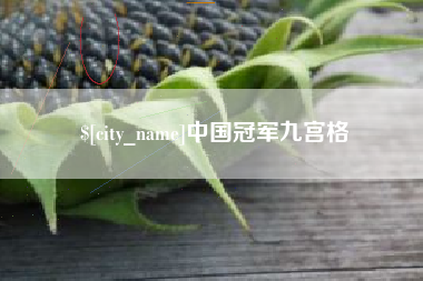 巴彦淖尔市中国冠军九宫格