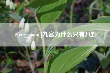 巴彦淖尔市九宫为什么只有八卦