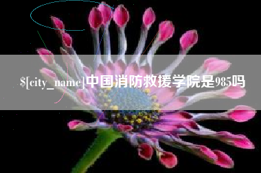 巴彦淖尔市中国消防救援学院是985吗