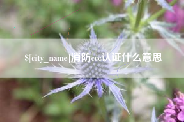 巴彦淖尔市消防ccc认证什么意思