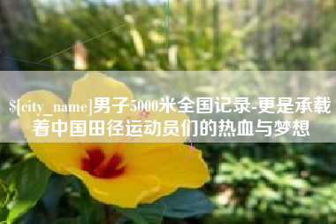 巴彦淖尔市男子5000米全国记录-更是承载着中国田径运动员们的热血与梦想