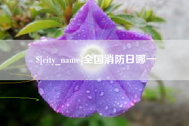 巴彦淖尔市全国消防日哪一