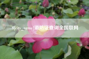 巴彦淖尔市消防证查询全国联网
