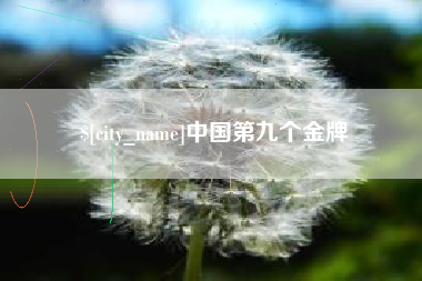 巴彦淖尔市中国第九个金牌