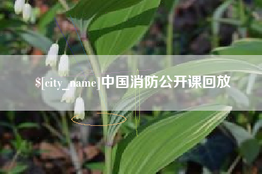 巴彦淖尔市中国消防公开课回放