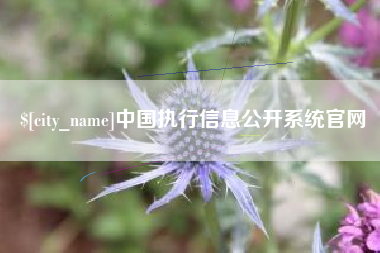 巴彦淖尔市中国执行信息公开系统官网
