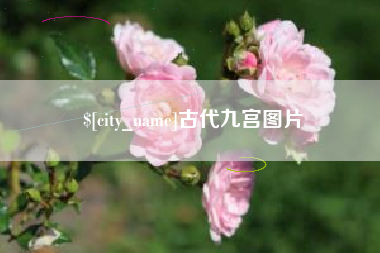 巴彦淖尔市古代九宫图片