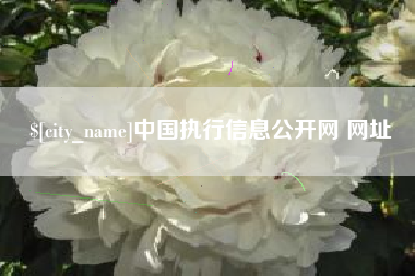 巴彦淖尔市中国执行信息公开网 网址
