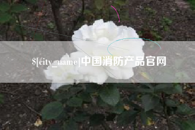 巴彦淖尔市中国消防产品官网