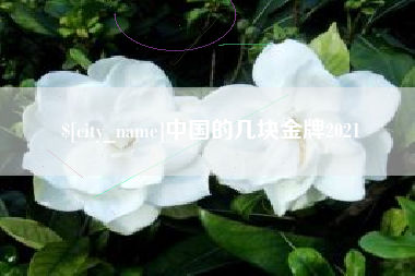 巴彦淖尔市中国的几块金牌2021