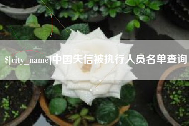 巴彦淖尔市中国失信被执行人员名单查询
