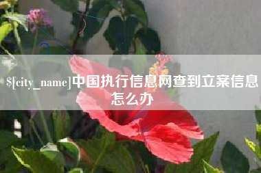 巴彦淖尔市中国执行信息网查到立案信息怎么办