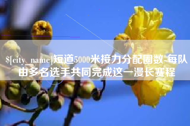 巴彦淖尔市短道5000米接力分配圈数-每队由多名选手共同完成这一漫长赛程