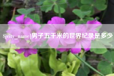 巴彦淖尔市男子五千米的世界纪录是多少