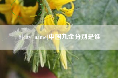 巴彦淖尔市中国九金分别是谁