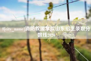 巴彦淖尔市消防救援学院山东招生录取分数线2020
