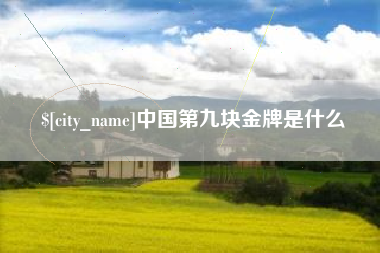 巴彦淖尔市中国第九块金牌是什么