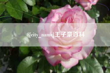 巴彦淖尔市王子豪百科