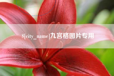 巴彦淖尔市九宫格图片专用