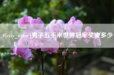 巴彦淖尔市男子五千米世界冠军奖金多少