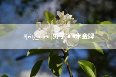 巴彦淖尔市男子5000米金牌