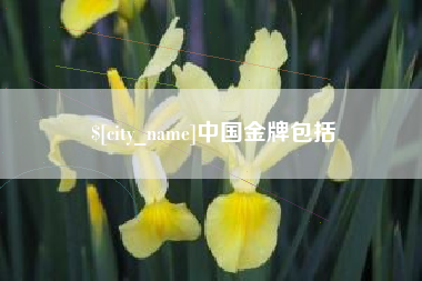 巴彦淖尔市中国金牌包括