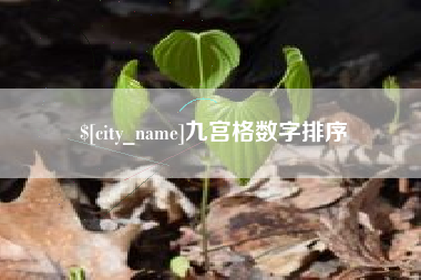 巴彦淖尔市九宫格数字排序