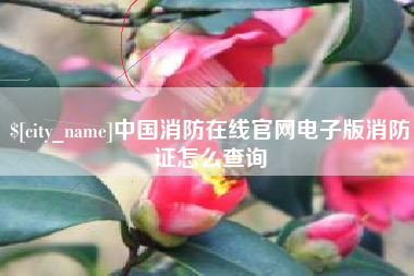 巴彦淖尔市中国消防在线官网电子版消防证怎么查询