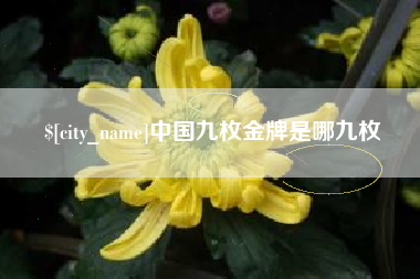 巴彦淖尔市中国九枚金牌是哪九枚
