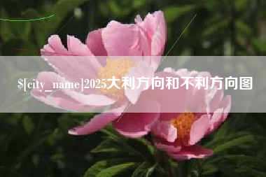 巴彦淖尔市2025大利方向和不利方向图