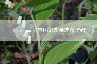 巴彦淖尔市中国第九金牌获得者