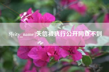 巴彦淖尔市失信被执行公开网查不到