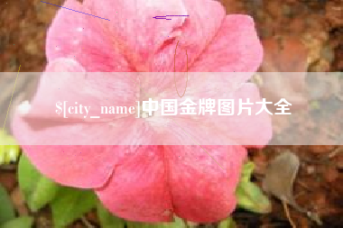 巴彦淖尔市中国金牌图片大全