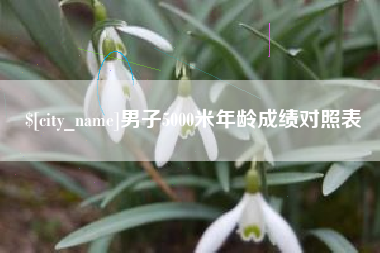 巴彦淖尔市男子5000米年龄成绩对照表