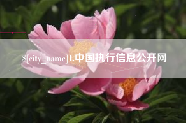 巴彦淖尔市1.中国执行信息公开网