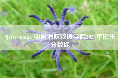 巴彦淖尔市中国消防救援学院2024年招生分数线