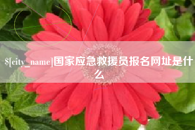 巴彦淖尔市国家应急救援员报名网址是什么