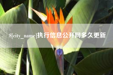 巴彦淖尔市执行信息公开网多久更新