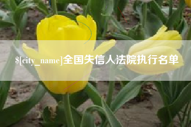 巴彦淖尔市全国失信人法院执行名单